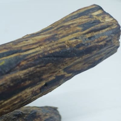 Unlocking Sustainability: Why You Should know where your Oud (Agarwood Oil) comes from.