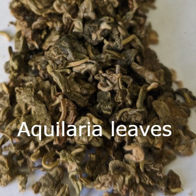 How Aquilaria Leaves Can Help Fight Inflammation, Improve Your Digestion, and More