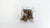 Ant-garwood chips- Hand-selected Aromatic Agarwood Chips grown organically by ants -