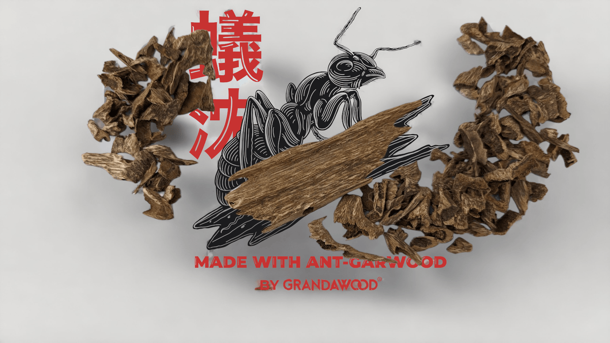 Ant-garwood chips- Hand-selected Aromatic Agarwood Chips grown organically by ants -