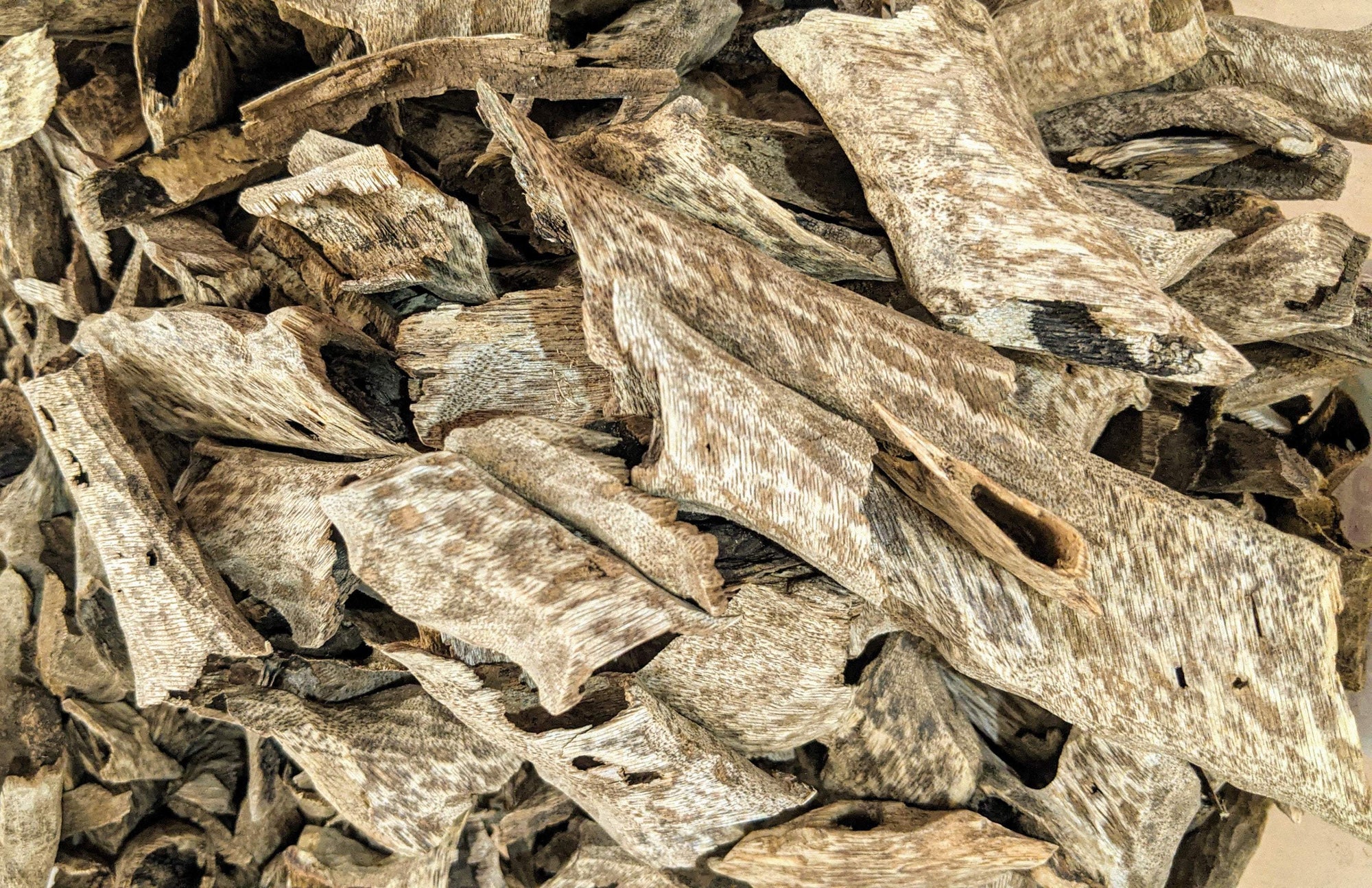 The Great Karma - Cultivated Vietnamese Agarwood - grown and developed by a monk -