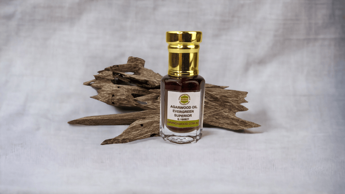 100% Pure Sustainably Cultivated Agarwood Oil (Oud) -Evergreen Superior Essential Oud Oil - 6 ml