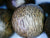 *SOLD* Wild Agarwood Aqualaria Malaccensis 108 mala 8mm 21g Classic Pattern -