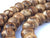 ZZ-SOLD OUT-ZZ- The Fearless Tiger- Wild Agarwood 108 mala beads Borneo Region -