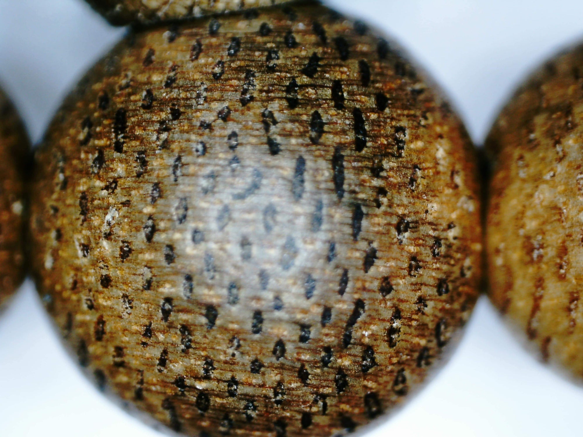 *New* The Golden Purifier 108 Cultivated Agarwood Mala (Japamala) -