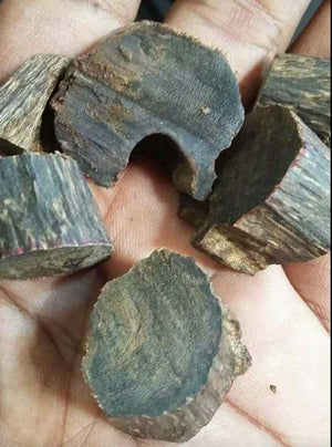 Sinking agarwood Clearance