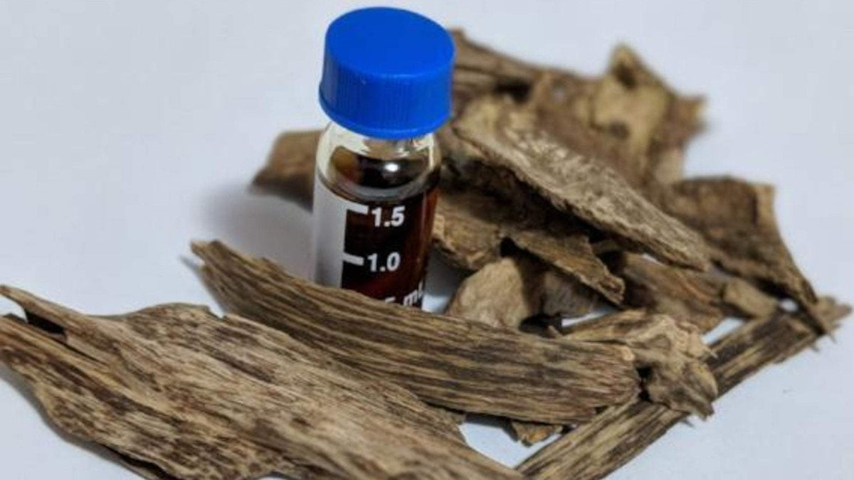 100% Pure Cultivated , Specially Crafted and Aged Agarwood Oil (Oud): Emas -