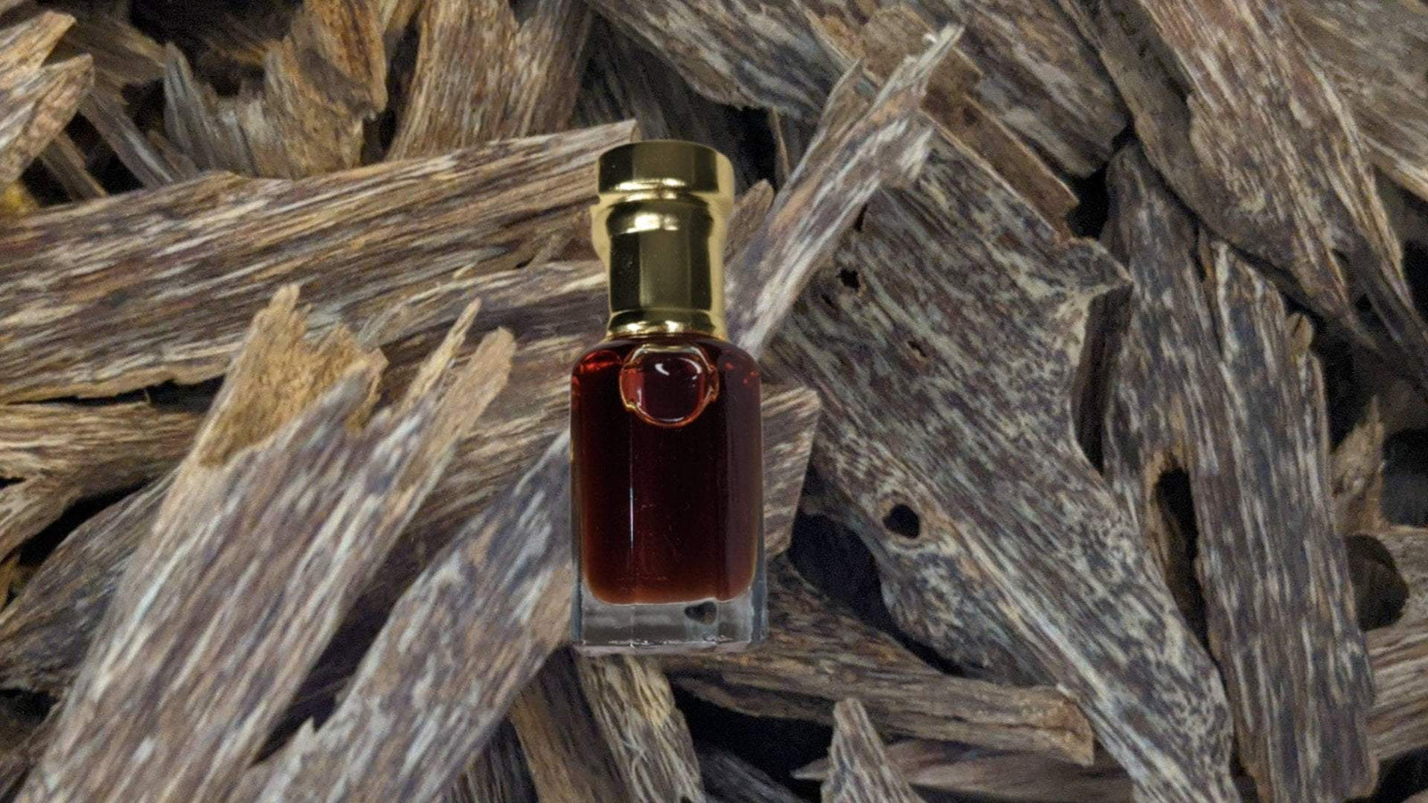 *New* The Sacred Forest Island 100% Pure Wild Oud Oil , distilled from Aquilaria Sinensis -
