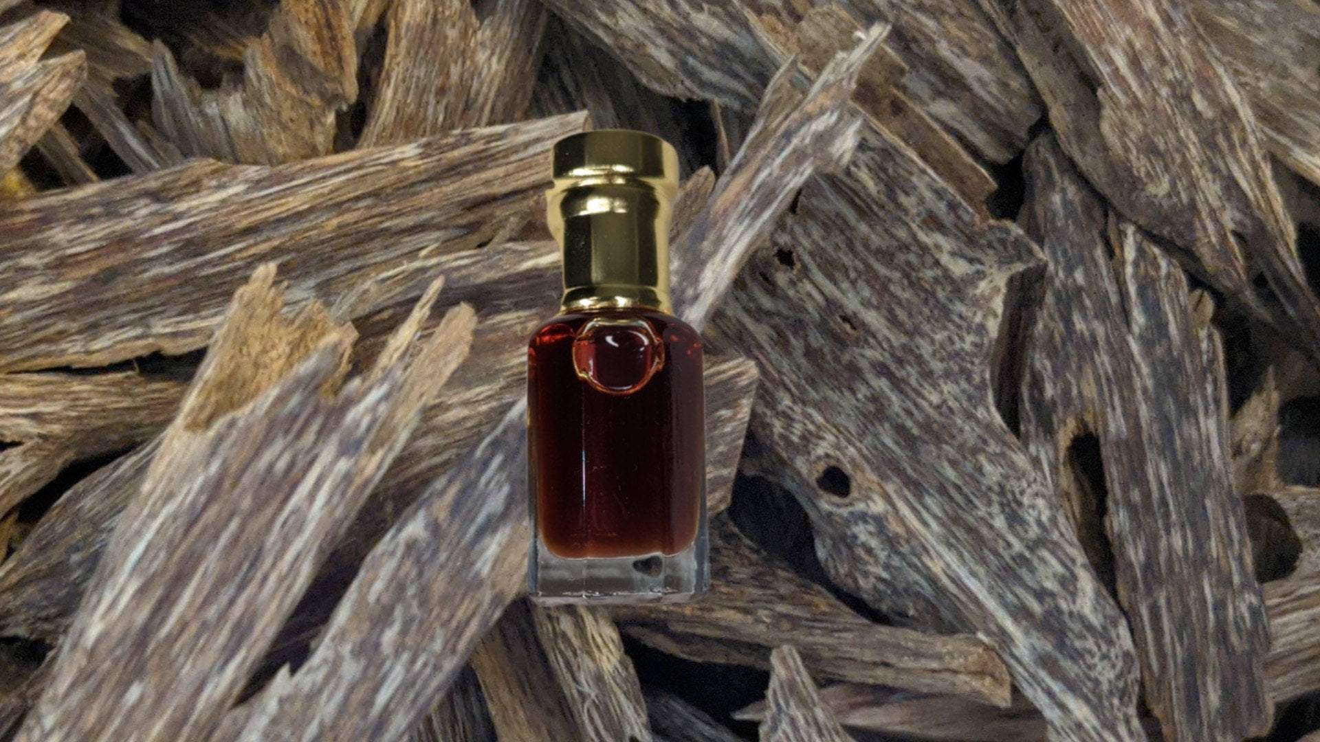 *New* The Sacred Forest Island 100% Pure Wild Oud Oil , distilled from Aquilaria Sinensis -
