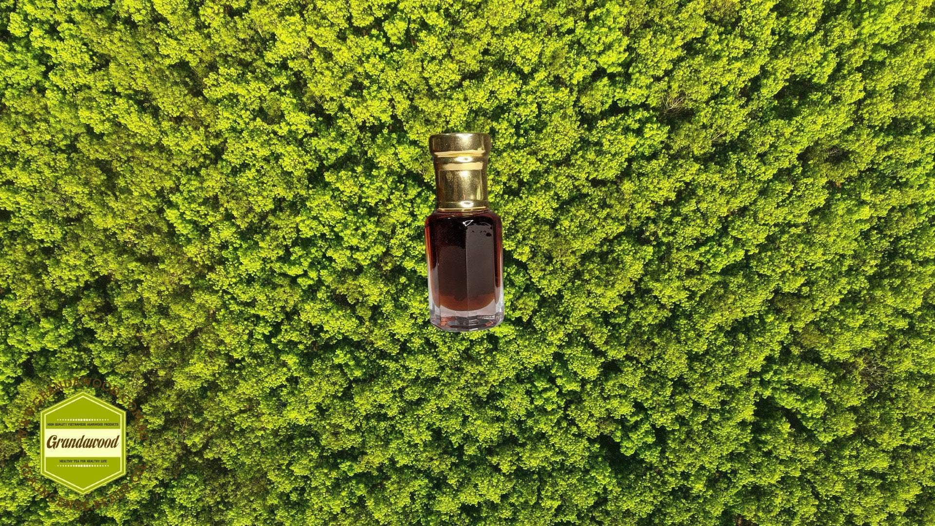 The Green Verdant- 100% Pure Cultivated Agarwood Oil (Oud) Oil - 3ml