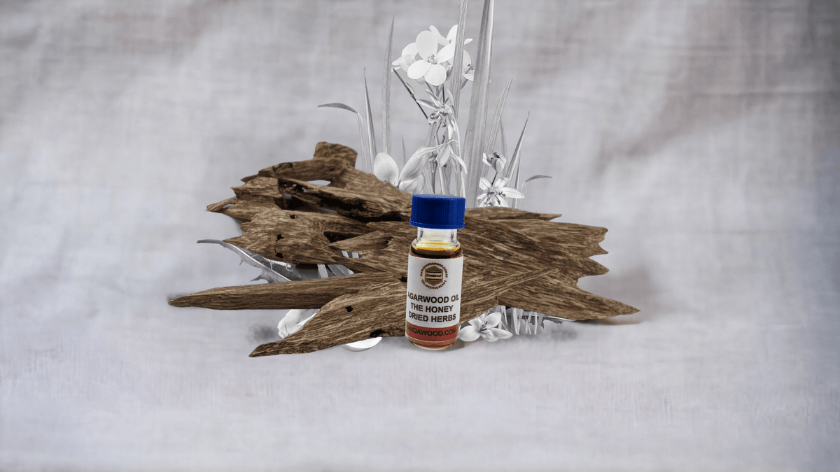 *LIMITED STOCK * Wild Vietnamese Agarwood Oud Oil Binh Phuoc Forest The Honey Dried Herbs - 1.5ml